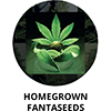Homegrown Fantaseeds