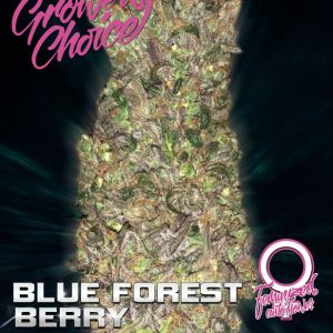 Blue Forest Berry Auto