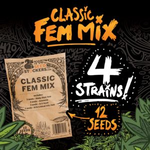 Classic Fem Mix