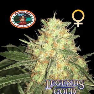 Legends Gold Cannabis Seeds