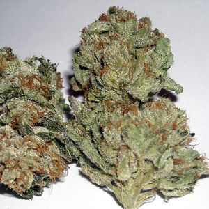 Rug Burn OG Cannabis Seeds