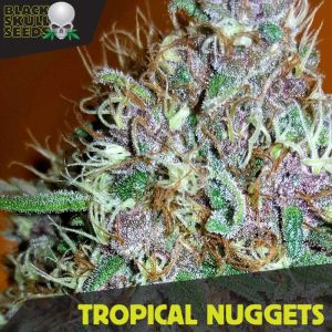 Tropical Nuggets