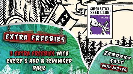 Super Sativa Seed Club Promo