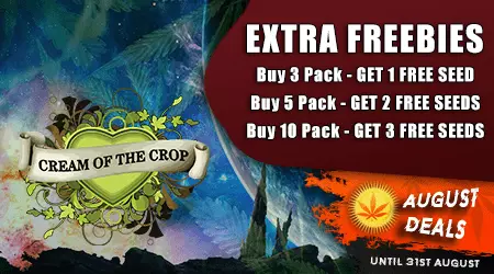 Cream Of Crop Cannabis Seeds Promotion