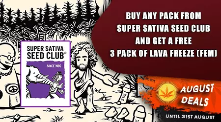 Super Sativa Cannabis Seeds Promotion