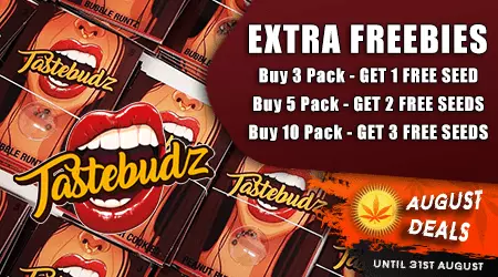 Tastebudz Cannabis Seeds Promotion