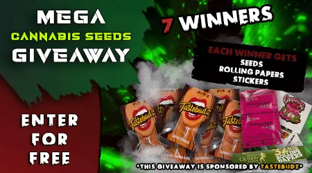 Monthly Cannabis Seeds Giveaway