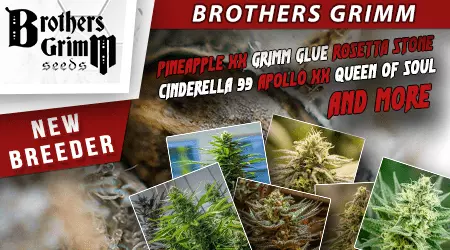 New Brothers Grimm Cannabis Seeds
