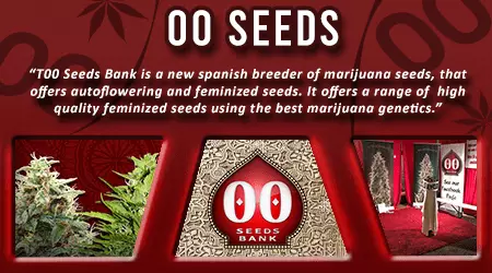 00 Cannabis Seeds