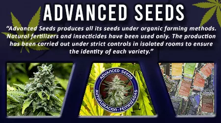 Advanced Cannabis Seeds