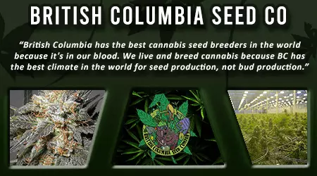 British Columbia Cannabis Seeds