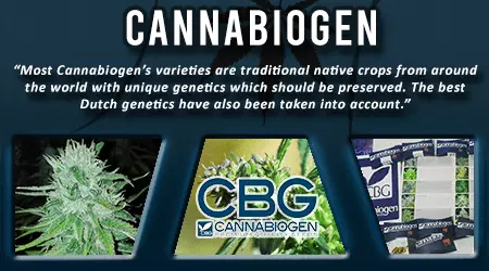 Canna Biogen Cannabis Seeds