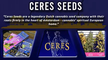 Ceres Cannabis Seeds