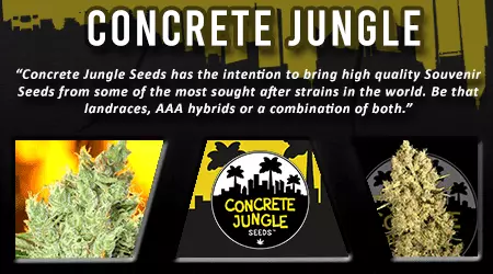 Concrete Jungle Cannabis Seeds