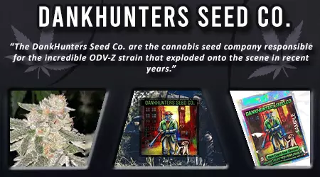 Dank Hunters Cannabis Seeds