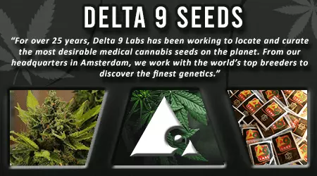 Delta 9 Labs Cannabis Seeds
