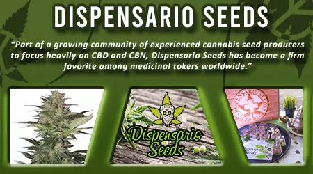 Dispensario Cannabis Seeds