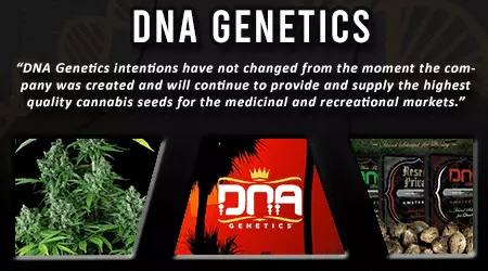 DNA Genetics Cannabis Seeds