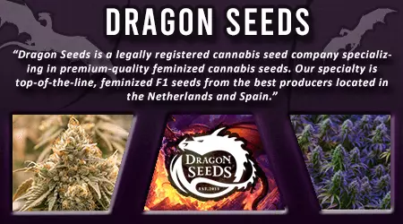 Dragon Cannabis Seeds