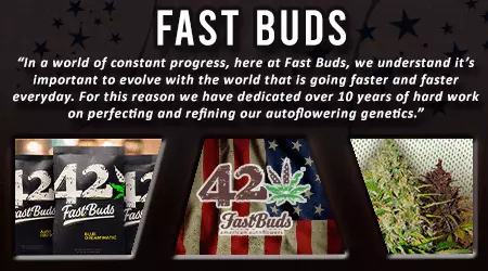 Fast Buds Cannabis Seeds