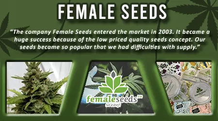 Female Cannabis Seeds
