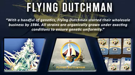 Flying Dutchman Cannabis Seeds