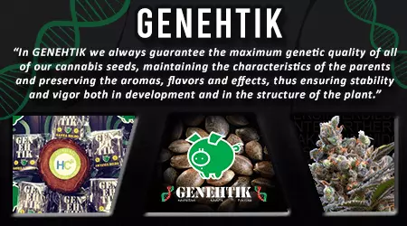 Genehtik Cannabis Seeds