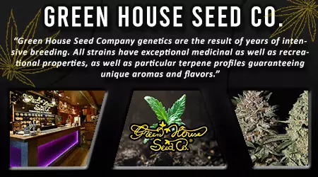 Green House Cannabis Seeds