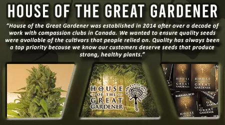 House Of The Great Gardener Cannabis Seeds