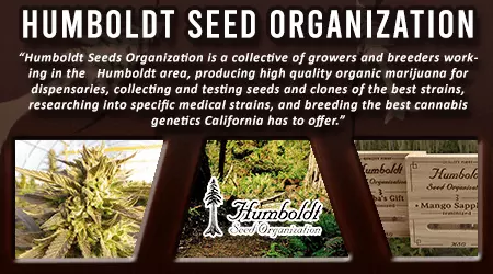 Humboldt Cannabis Seed Org
