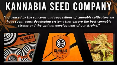 Kannabia Cannabis Seeds