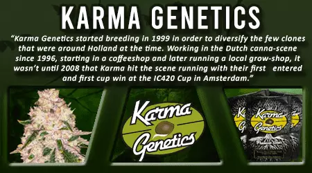 Karma Genetics Cannabis Seeds