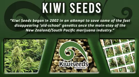 Kiwi Cannabis Seeds