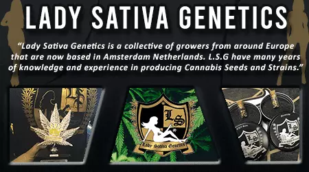 Lady Sativa Cannabis Seeds