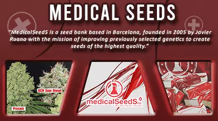 Medical Cannabis Seeds