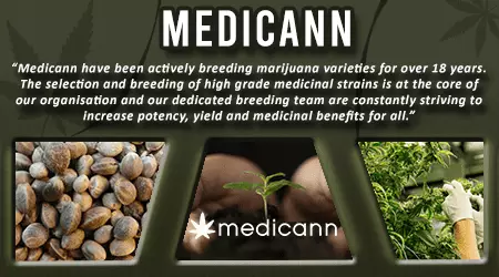 Medicann Cannabis Seeds