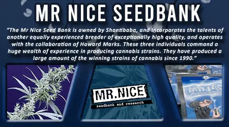 Mr Nice Cannabis Seed Bank