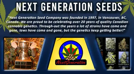 Next Generation Cannabis Seeds
