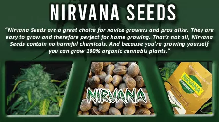 Nirvana Cannabis Seeds