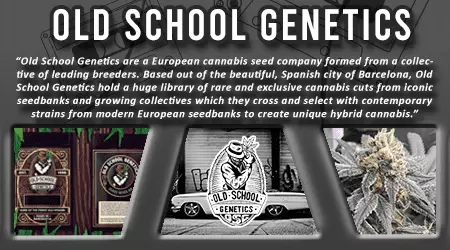 Old School Genetics Cannabis Seeds