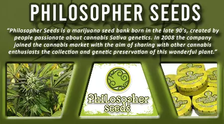 Philosopher Cannabis Seeds