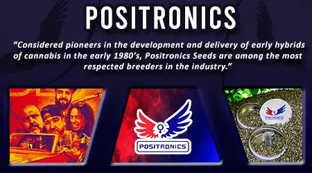Positronics Cannabis Seeds