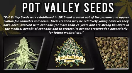 Pot Valley Cannabis Seeds
