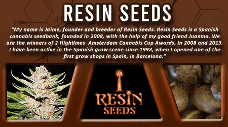 Resin Cannabis Seeds