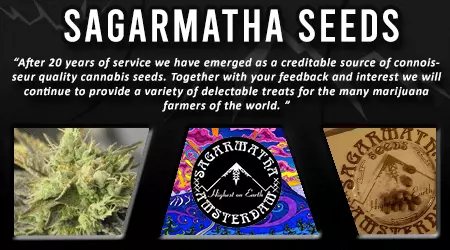 Sagarmatha Cannabis Seeds