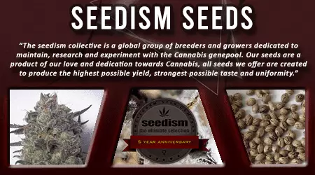 Seedism Cannabis Seeds
