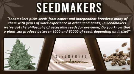 Seedmakers Cannabis Seeds