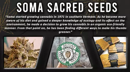 Soma Cannabis Seeds