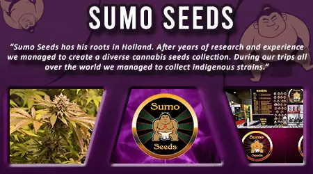 Sumo Cannabis Seeds