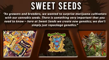 Sweet Cannabis Seeds